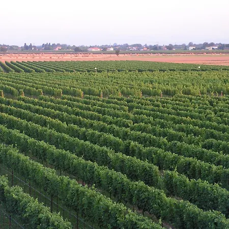 Tenuta La Rotta - & Pool Gasthuis