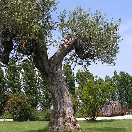 Gasthuis Tenuta La Rotta - & Pool Ravenna