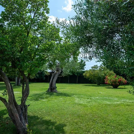 Maison d'hôtes Tenuta La Rotta - & Pool 4*
